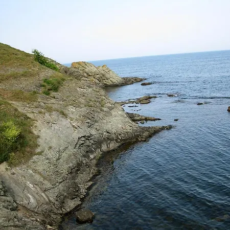 самостоятелна 레조보